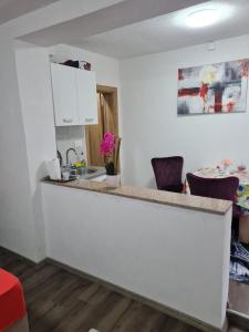een keuken met een aanrecht en 2 paarse stoelen bij Apartmani Villas in Visoko