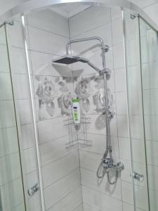 een douche in een badkamer met een glazen deur bij Apartmani Villas in Visoko