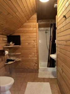 a bathroom with a shower and a toilet and a sink at Ranch Kaja & Grom in Vojnik