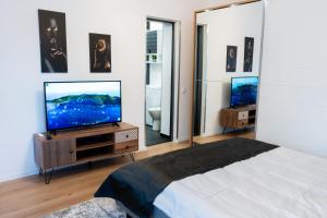 TV a/nebo společenská místnost v ubytování Cris Apartments