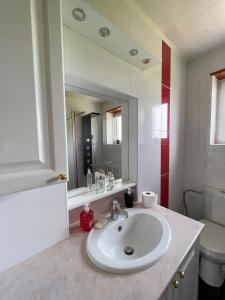 ein Badezimmer mit einem Waschbecken, einem WC und einem Spiegel in der Unterkunft Gîte forêts et lacs in Puttelange-aux-Lacs