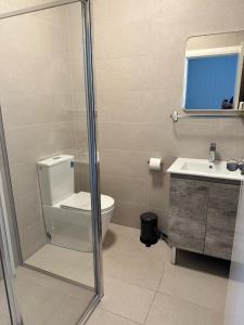 een badkamer met een toilet, een wastafel en een spiegel bij Surf Beach Motel Newcastle in Newcastle