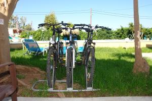 Jazda na bicykli v okolí ubytovania Cormoranos Apartments Eco Green