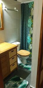 a bathroom with a toilet and a green shower curtain at Ohana RBNB studio "Havai " in Uturoa