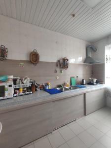 uma cozinha com um lavatório e uma bancada em Welcome 24 Mukachevo em Mukacheve