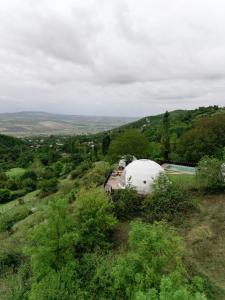 un grand dôme blanc sur une colline plantée d'arbres dans l'établissement Glamping Dream Domes Ismayilli, à İsmayıllı