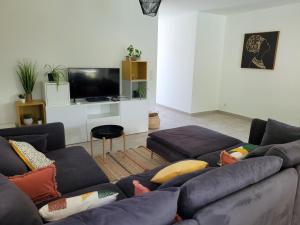 uma sala de estar com um sofá e uma televisão em La villa des papillons de dugradus em Aubenas