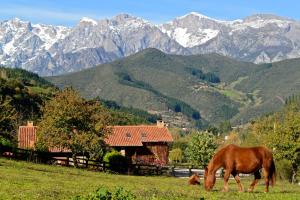 a brown horse standing on top of a lush green field at Hotel-Posada La Casa de Frama in Frama