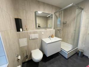 ein Bad mit einem WC, einem Waschbecken und einer Dusche in der Unterkunft Pension Bootshaus in Weißenfels