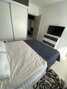 a bedroom with a bed and a dresser with a television at Apartament tip studio in Roşu