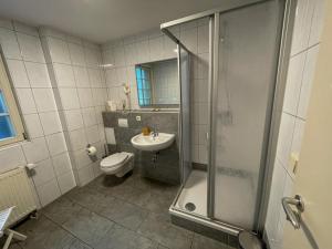 ein Bad mit einer Dusche, einem Waschbecken und einem WC in der Unterkunft Pension Bootshaus in Weißenfels