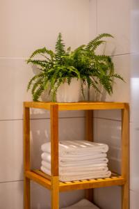 ein Holzregal mit Handtüchern und einer Pflanze darauf in der Unterkunft Renatas Ferienwohnung Wohnung David in Sasbachwalden