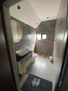 a bathroom with a sink and a toilet at Forest house in Gabala