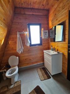 La salle de bains est pourvue de toilettes et d'un lavabo dans une cabine. dans l'établissement Cabana Corbilor The Raven's Hut, à Vatra Dornei