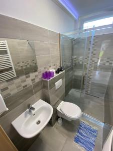 a bathroom with a sink and a toilet and a shower at Aba-Böbe Vendégház in Zalaszentiván +33 photos
