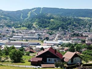 a small town in the mountains with houses and buildings at Chalet de standing 14 personnes in Gérardmer