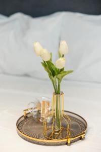 塞萨洛尼基Valaoritou 3 Luxury Rooms的相册照片