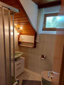 ein Bad mit einem Waschbecken, einem WC und einem Fenster in der Unterkunft Ferienhaus Aigner in Sankt Michael im Lungau