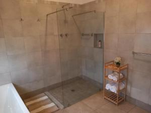 baño con ducha y puerta de cristal en 7 On Grey Guesthouse, en Colesberg