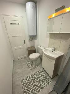 een kleine badkamer met een toilet en een wastafel bij Gorgeous Two Bedroom Apartment in Silistra