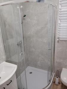 een badkamer met een douche, een toilet en een wastafel bij Super mieszkanie 3-pokoje in Bielawa