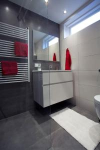 een badkamer met een wastafel, een toilet en een spiegel bij Boxtel, Appartement (1-4p) nabij station/centrum in Boxtel