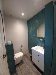 a bathroom with a sink and a toilet and a mirror at vakantiewoning - Achterom in Ommen +8 photos