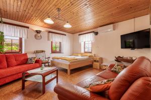 TV a/nebo společenská místnost v ubytování Kolpa Zupančič Vineyard Apartments