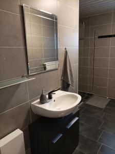 y baño con lavabo y espejo. en Gaststätte Neumann, en Saarlouis