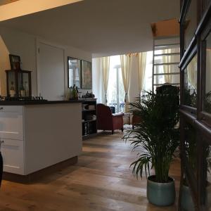 salon z blatem i rośliną w obiekcie Antwerpen perfect location w Antwerpii
