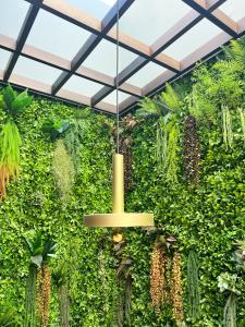 a green wall with plants and a chandelier at Oca Bom Sucesso Hotel in Porto