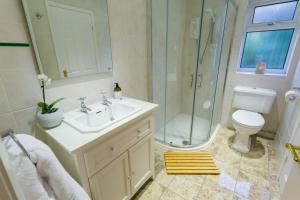 a bathroom with a shower and a sink and a toilet at Bryn Rhosyn in Benllech