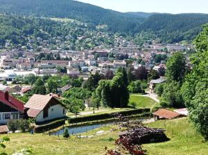 uitzicht op een klein stadje met een rivier bij Chalet de standing 14 personnes in Gérardmer