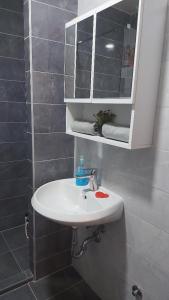 La salle de bains est pourvue d'un lavabo blanc et d'un miroir. dans l'établissement Anja, à Lukavica