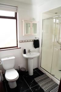uma casa de banho com um WC, um lavatório e um chuveiro em Number 19 Heart Of The Glens em Cushendall