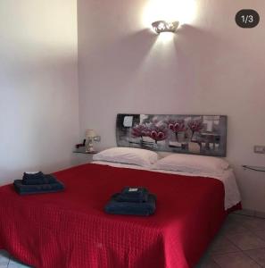 1 dormitorio con 1 cama con manta roja en B&B Sa Clarera, en Baunei