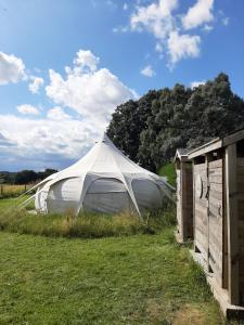 a white tent in the grass next to a building at Wild Retreat in Cawston
