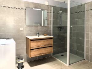 a bathroom with a shower and a sink and a mirror at Les Clématites de Saint-Aignan 4p, 7 min du Zoo in Saint-Aignan +7 photos
