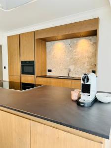 a kitchen with a counter with a coffee maker on it at Appartement De Markt in Ostend
