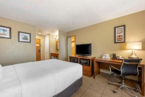 Habitación de hotel con cama y escritorio con TV. en Comfort Inn Lexington, en Lexington