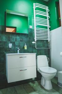 a bathroom with a toilet and a green wall at Jałowcówka Centrum Aktywności Psychoruchowej in Koszarawa
