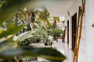 Zahrada ubytování White Paradise Zanzibar