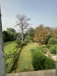 uma árvore no meio de um campo de relva em Château de Respide em Langon