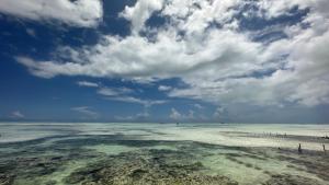 a view of the ocean under a cloudy sky at New Teddy's on the Beach in Jambiani