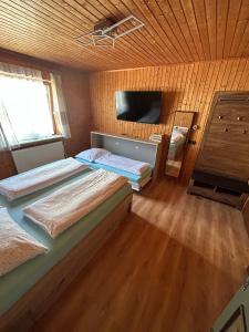 a bedroom with two beds and a television in it at Tina a Petr , Lunz am See in Lunz am See