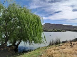 um salgueiro chorão ao lado de um corpo de água em Ruigtevallei Lodge em Gariepdam