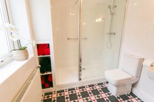 a bathroom with a shower and a toilet at Dinas Cottage in Benllech +48 photos
