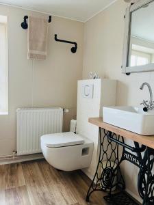 La salle de bains est pourvue de toilettes blanches et d'un lavabo. dans l'établissement Haus FÜHLDICHWOHL, à Boizenburg/Elbe
