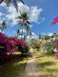 Zahrada ubytování Amahelia Luxury Resort & Restaurant - Gili Asahan