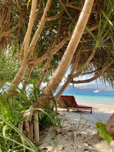 une chaise assise sous un palmier sur une plage dans l'établissement Amahelia Luxury Resort & Restaurant - Gili Asahan, à Gili Asahan